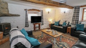 A cozy living room with a fireplace, a television, and comfortable seating. - Y Beudy (Llanybydder)