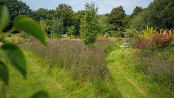 Cottage | Property grounds