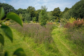 Cottage | Property grounds