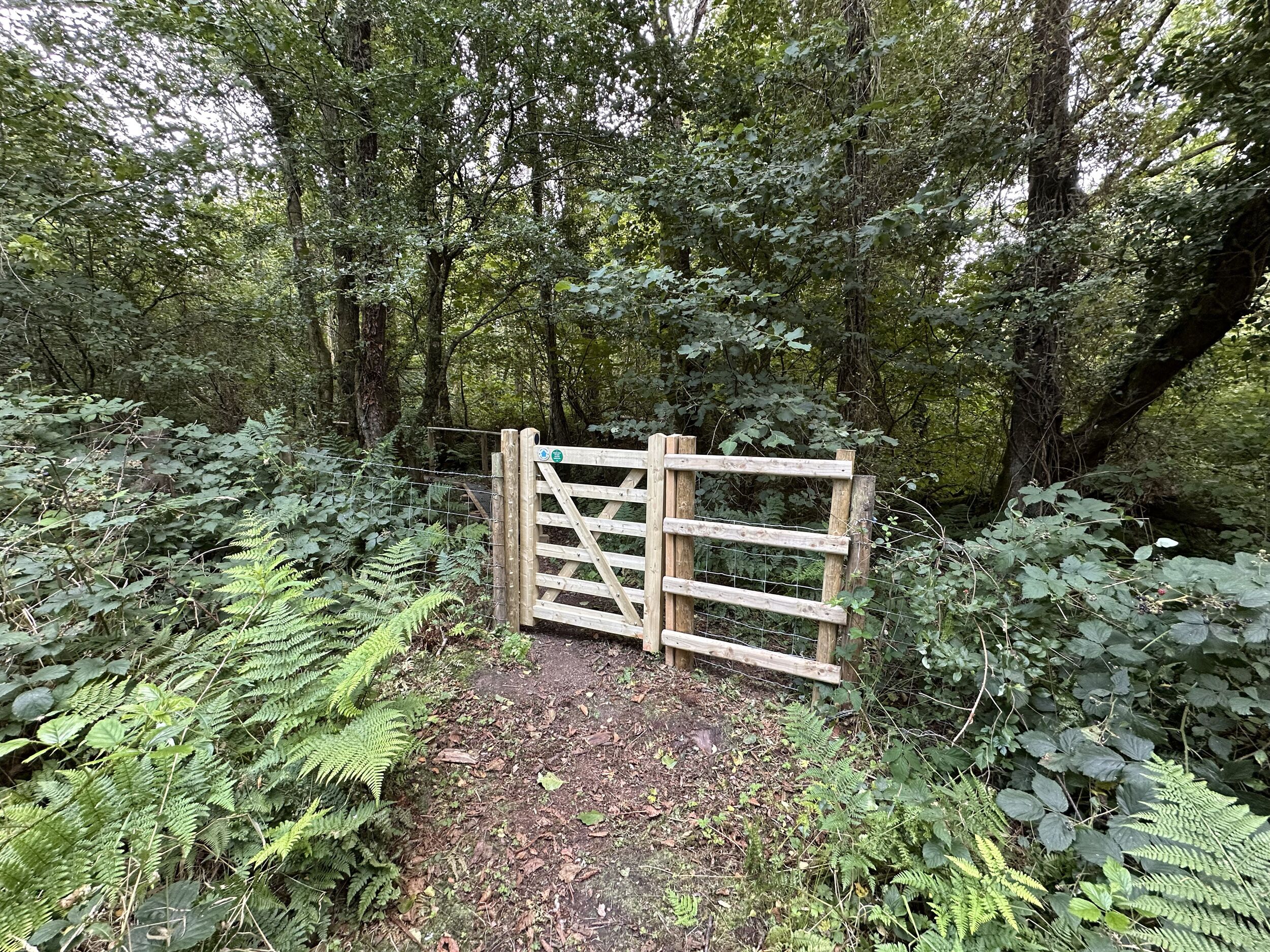A wooden gate in a forested area with dense foliage and ferns.