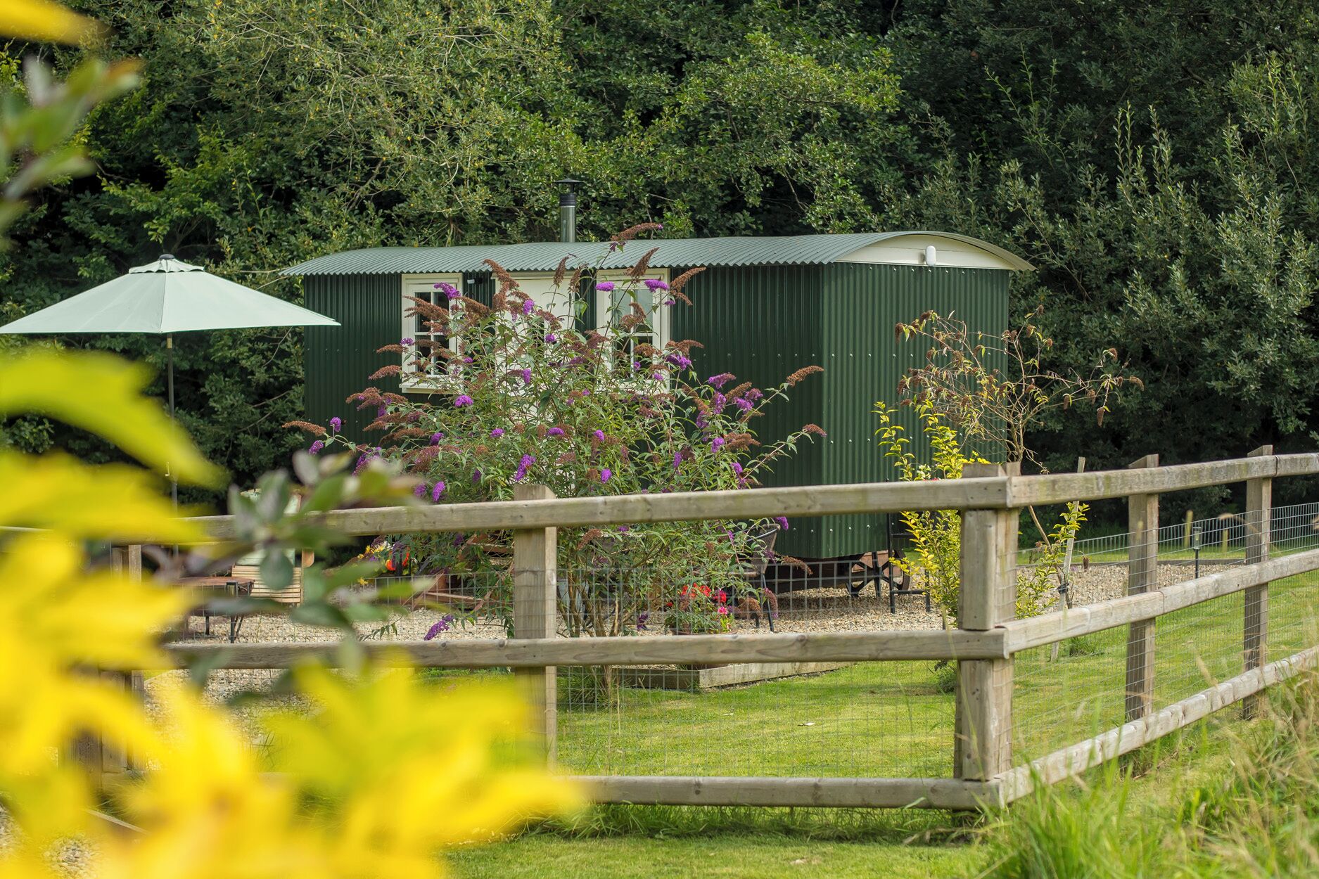 A green shed with a corrugated metal roof, surrounded by a wooden fence and various plants.
