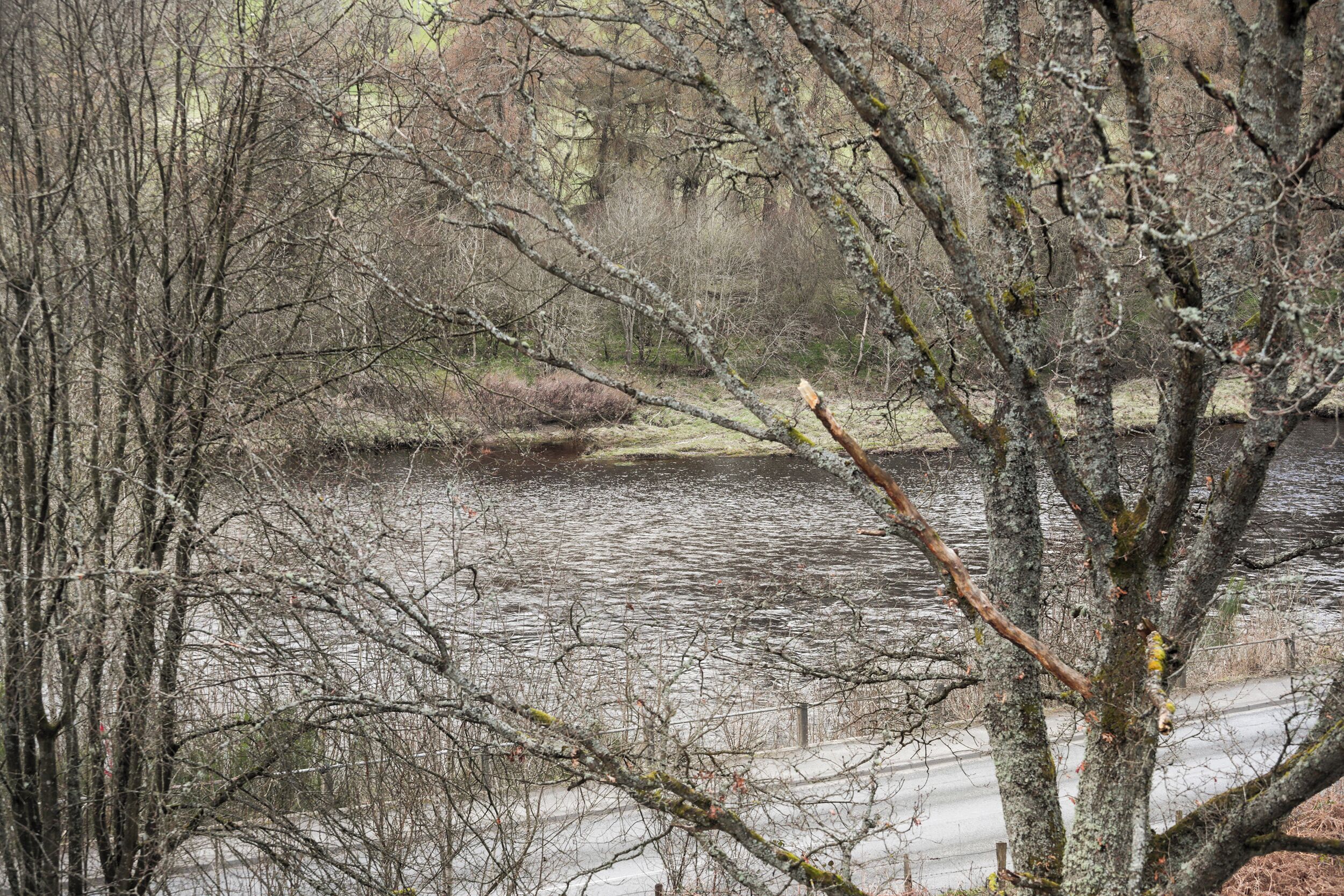 Un fiume con alberi sullo sfondo e un ponte sullo sfondo.
