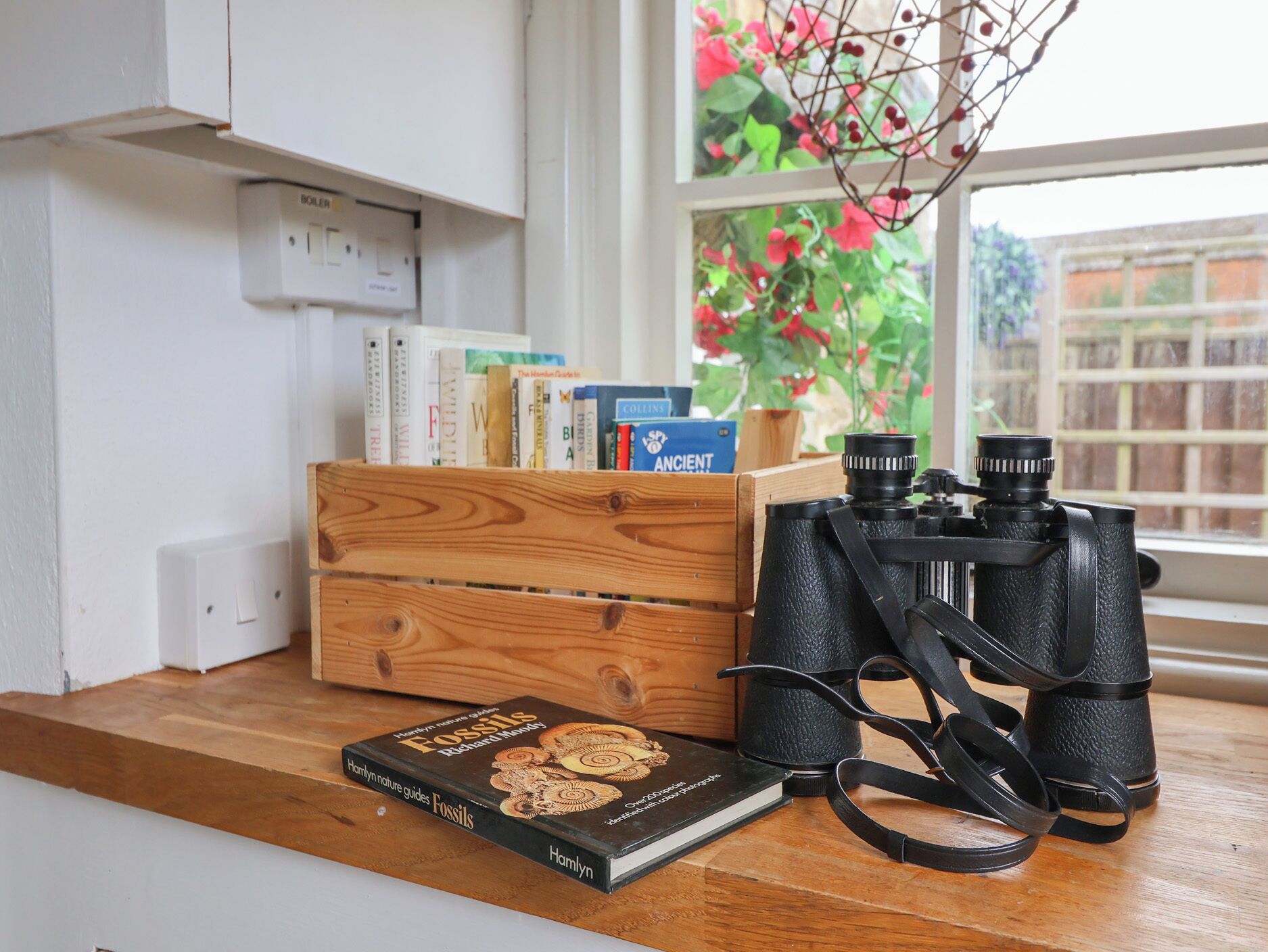 A wooden crate with books and a pair of binoculars on a wooden table near a window with a view of greenery.