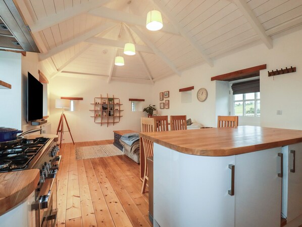 Fridge, dishwasher, electric kettle, toaster - Logan Barn (Camelford)