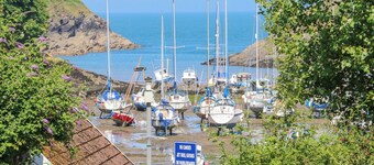 Cove View