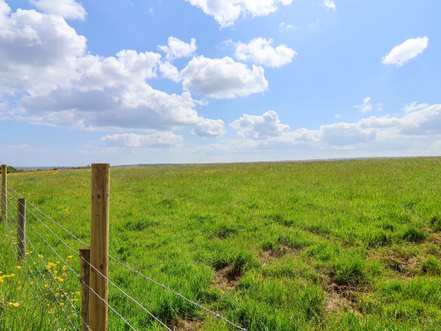 A grassy field with a wooden fence and barbed wire.