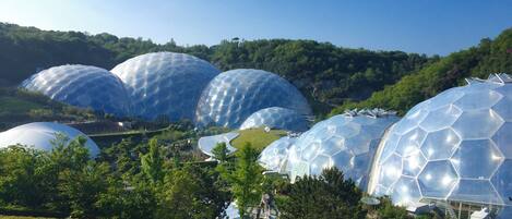 A series of large, dome-shaped structures with a reflective surface, surrounded by well-maintained greenery and pathways.