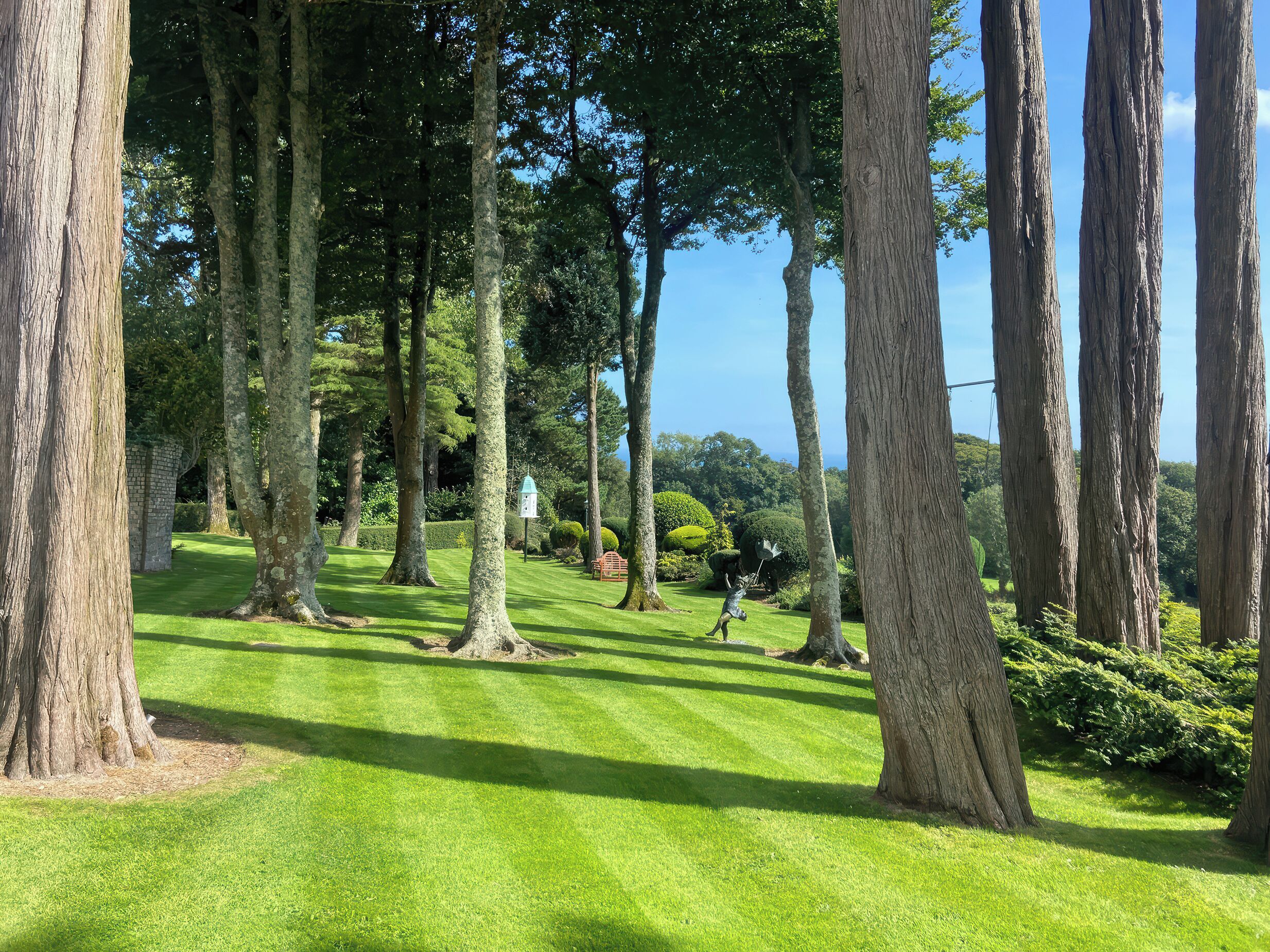 Een goed onderhouden park met hoge bomen, een heldere lucht en een bord.