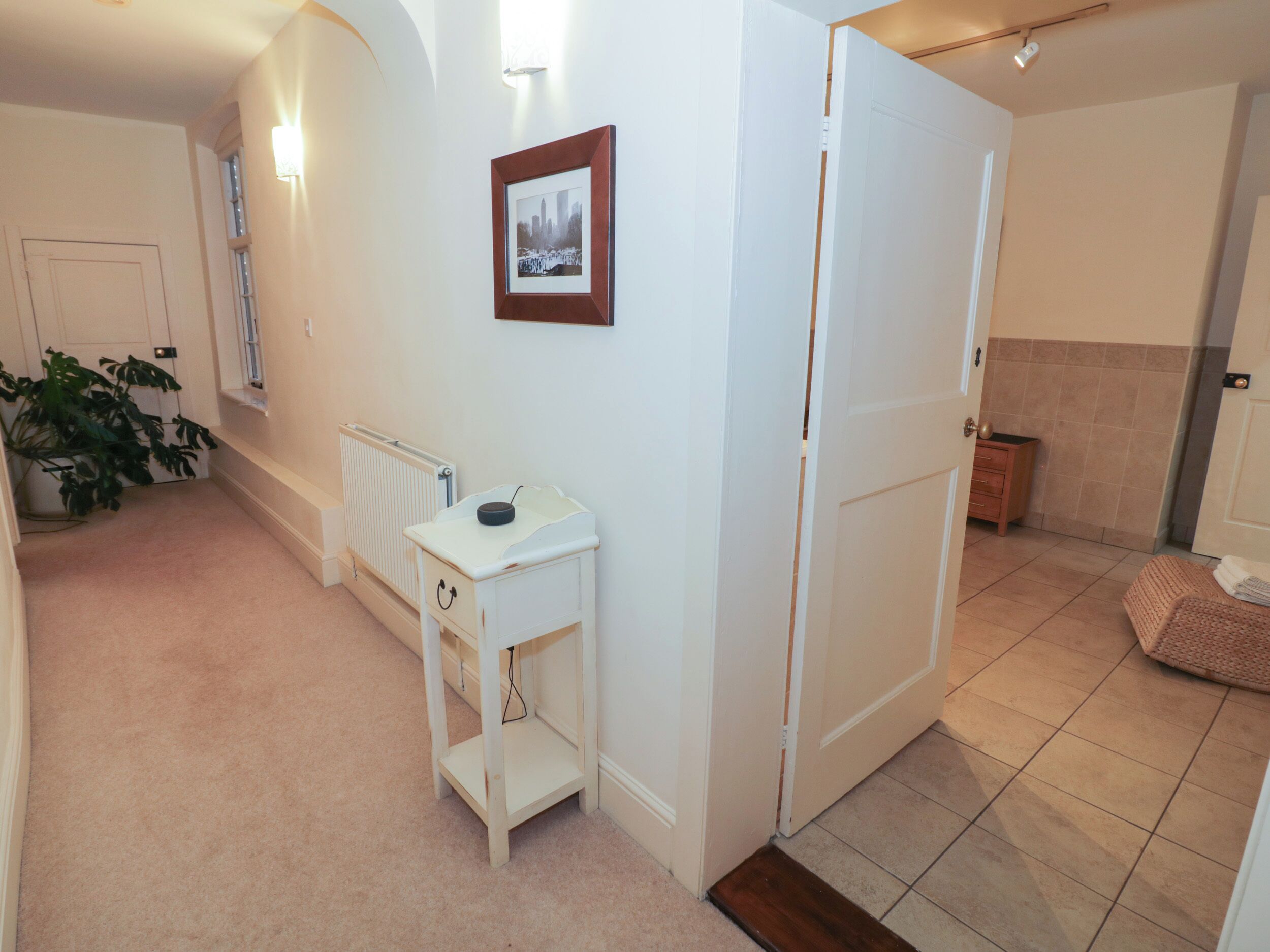 A hallway with a radiator, a small white table with a picture frame, a door, and a plant.