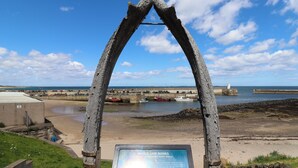 Une vue sur la côte, avec une mâchoire de baleine exposée et un ciel dégagé.