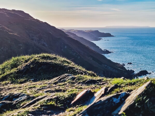 A coastal landscape with rocky terrain and a view of the ocean. - Hollycombe (Ilfracombe)