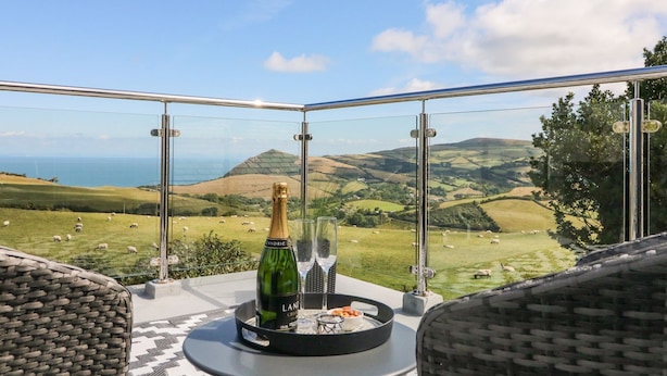 Een terras met glazen hekwerk, een champagnefles en een glas op een tafel, met uitzicht op een groen landschap met schapen en heuvels.