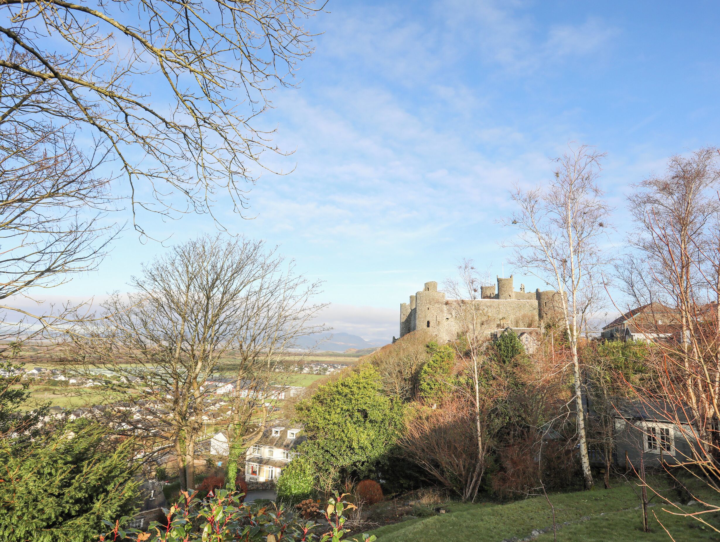 A castle surrounded by trees and houses.