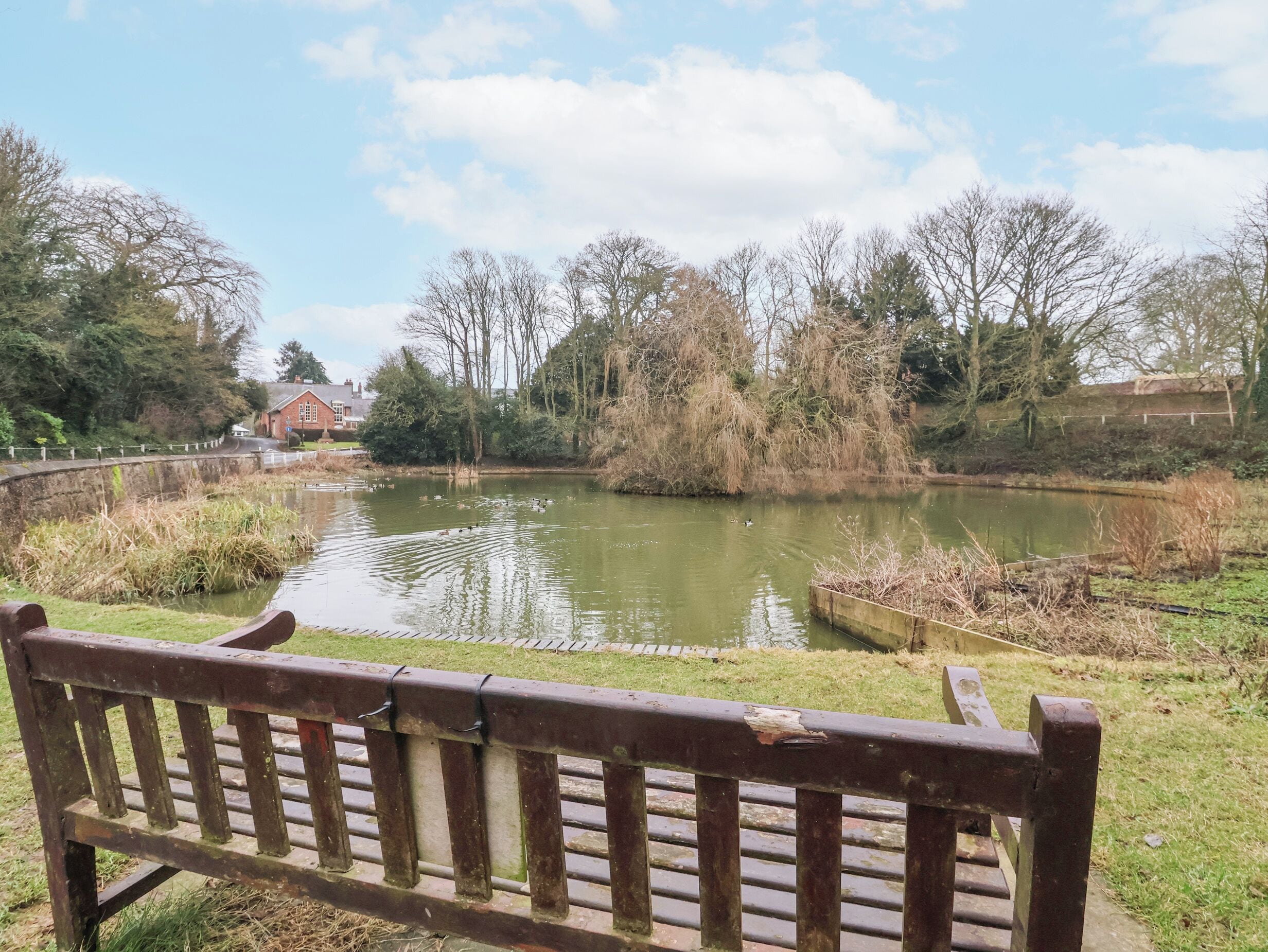 A bench overlooking a pond with ducks, surrounded by trees and a brick building in the background.