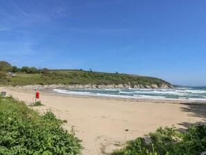 A beach with waves, a red buoy, and green vegetation. - Squirrels Leap (Falmouth)