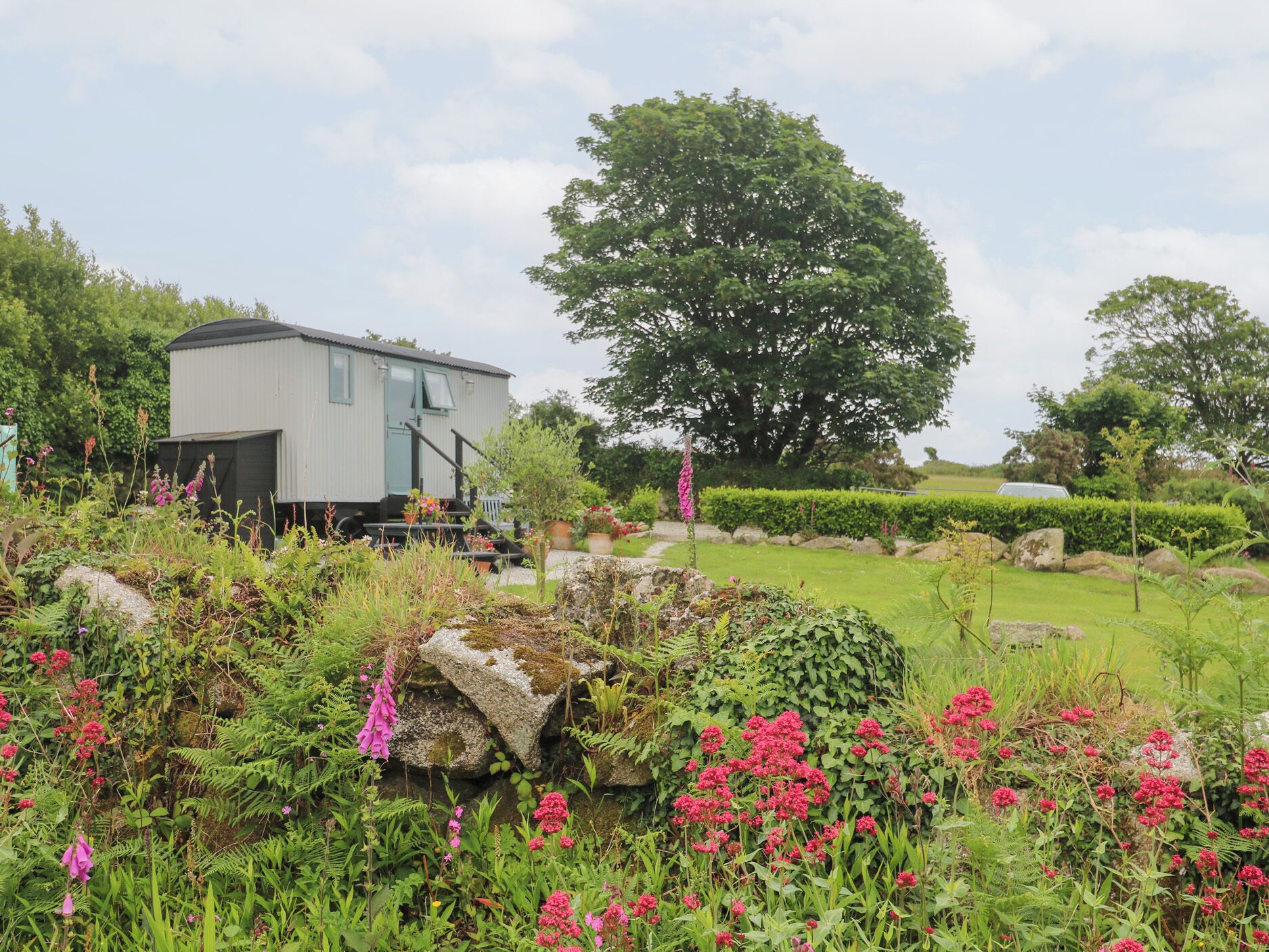 A house with a garden in front, including a large tree, rocks, and various plants.