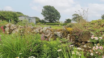 Cottage | Property grounds