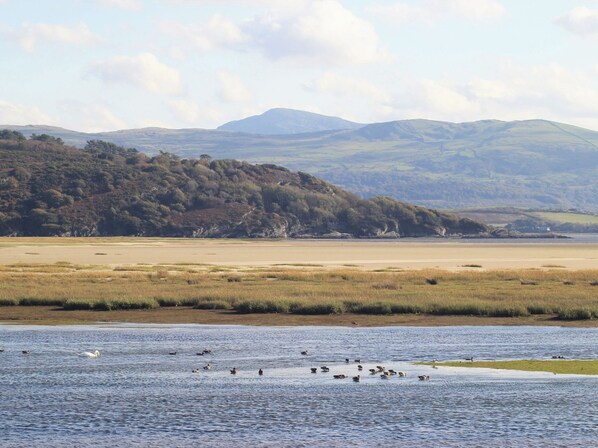 A coastal landscape with a body of water, grassy areas, and distant hills. - 31C South Snowdon Wharf (Porthmadog)