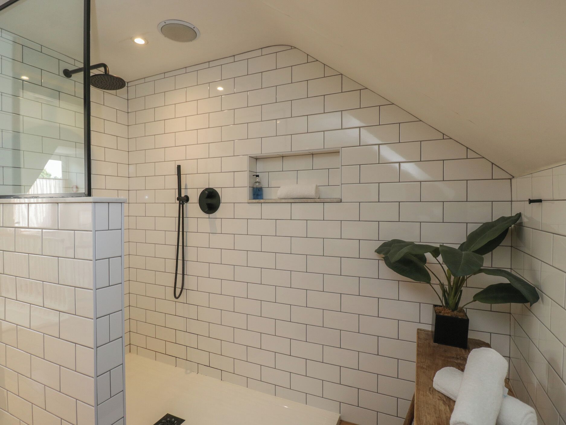 Shower, hair dryer