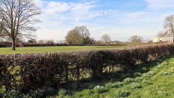 A rural landscape with a hedge, a grassy field, and a clear sky.