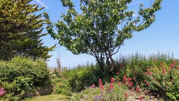 Cottage | Property grounds