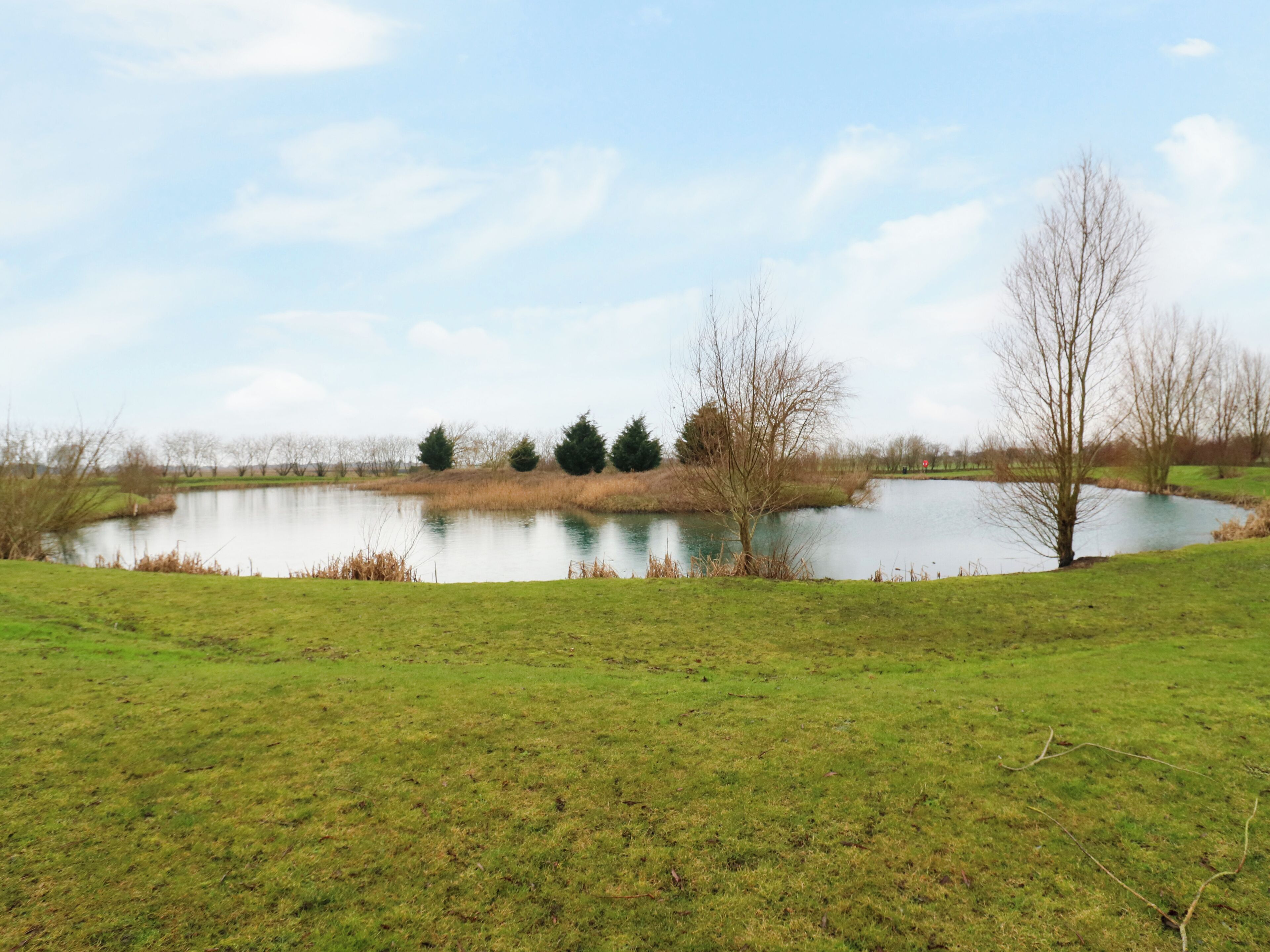 A serene landscape with a pond, grassy field, and trees.