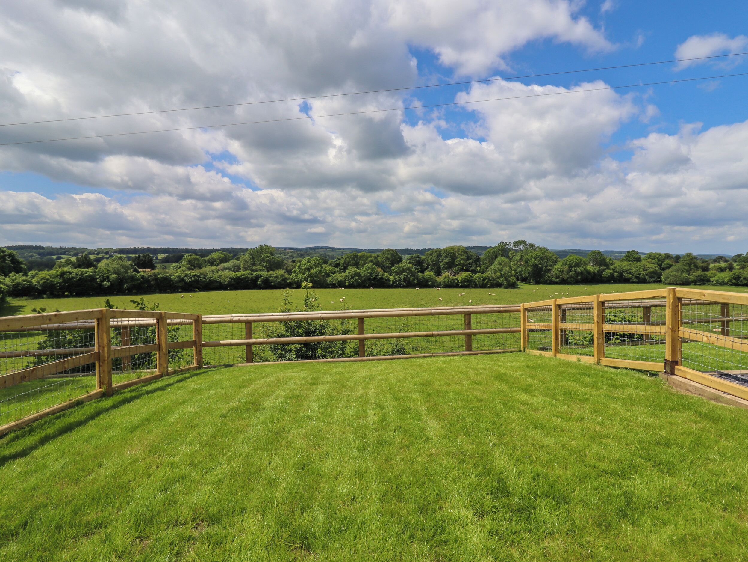 A fenced grassy area with a wooden fence and a wire mesh, surrounded by trees and a clear sky.