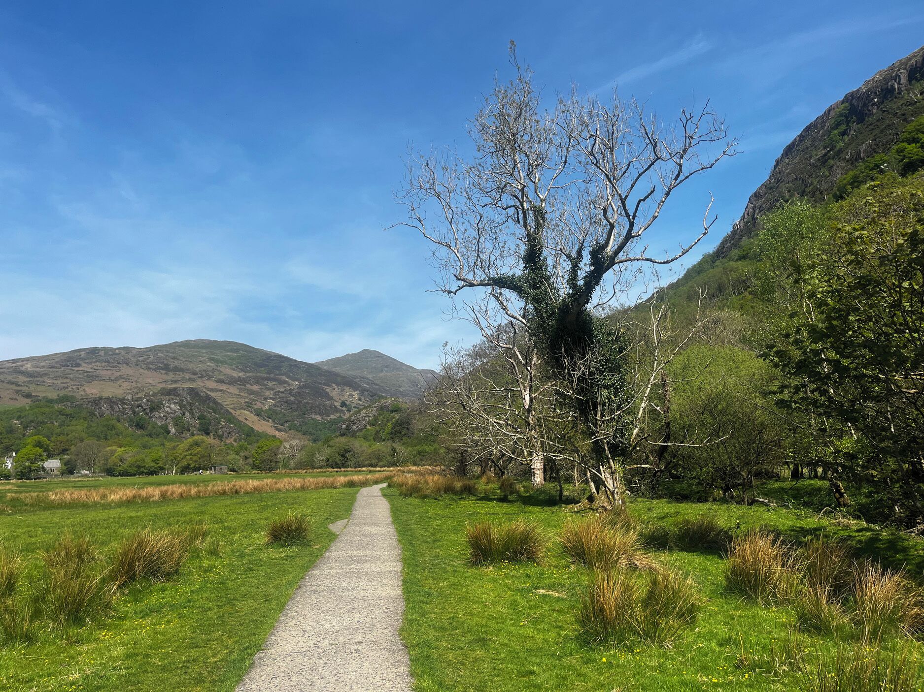 A gravel path leading through a green landscape with trees and hills in the background.