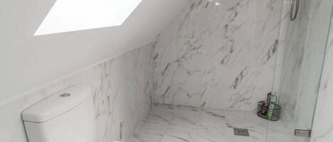 A modern bathroom with a skylight, a toilet, and a shower area.