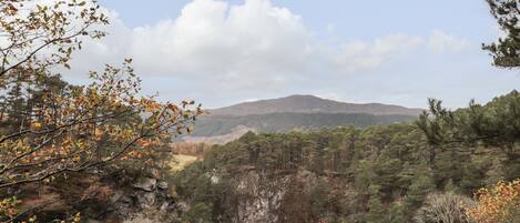 A mountainous landscape with dense forest and rocky terrain.
