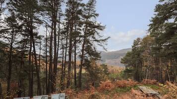 A stone wall with informational signs in a forested area with tall trees and a distant view of hills.