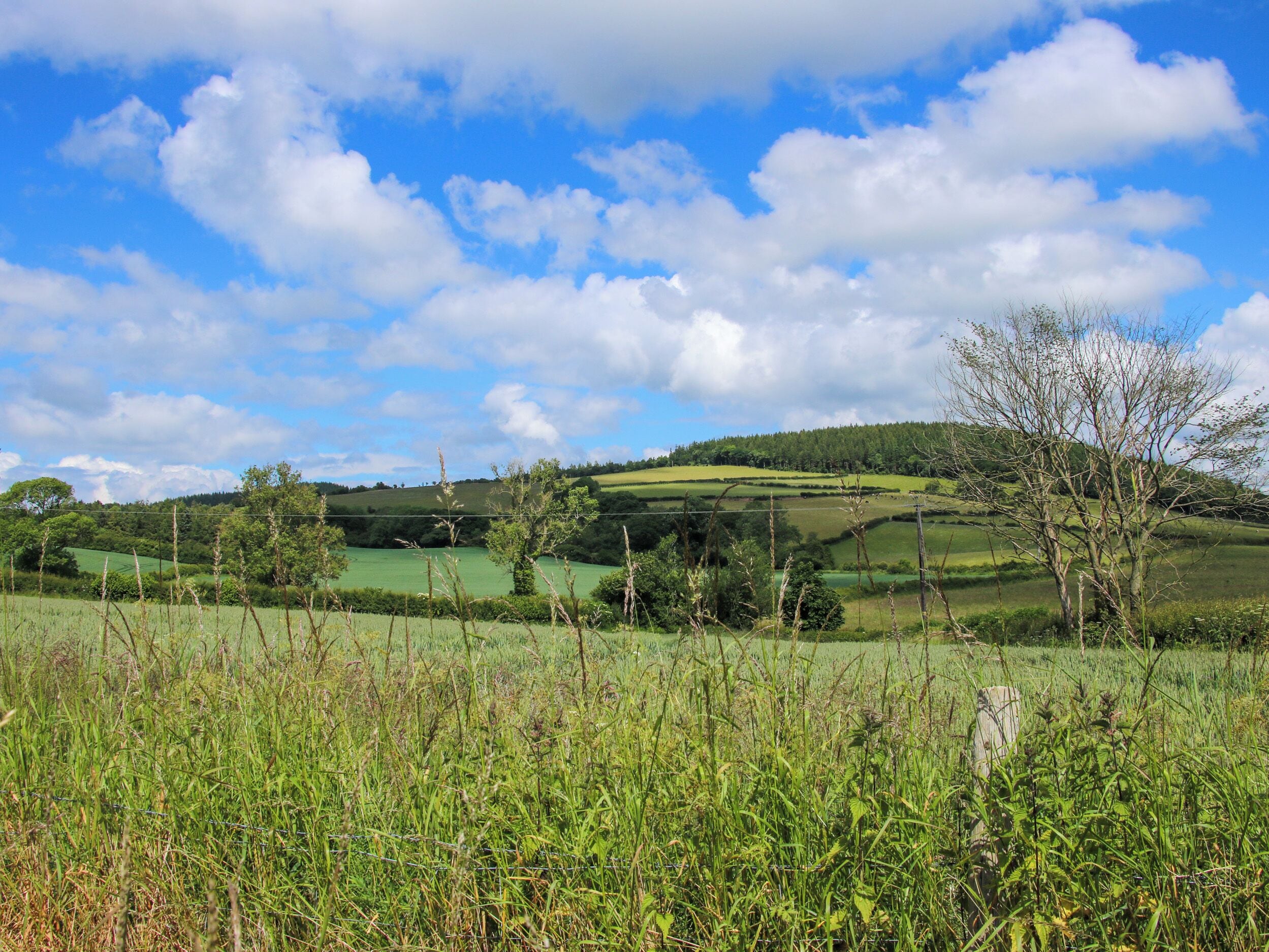 A rural landscape with rolling hills, green fields, and a clear sky with clouds.