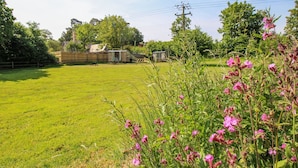 A grassy field with a small wooden structure and a metal utility pole in the background. - Acres Meadow (Dorchester)