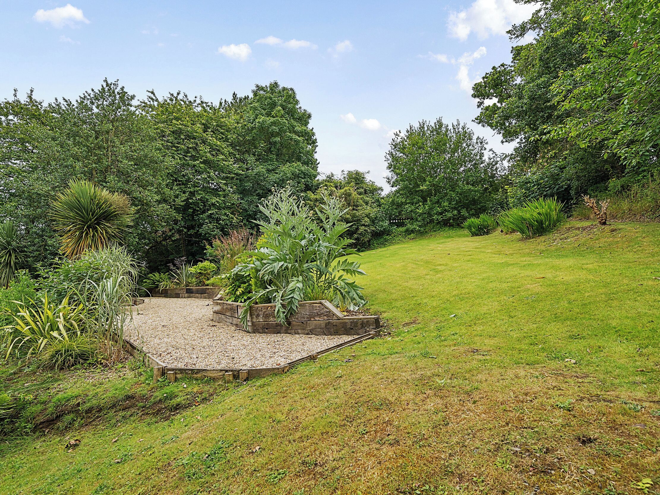 A garden with a variety of plants and a gravel path.