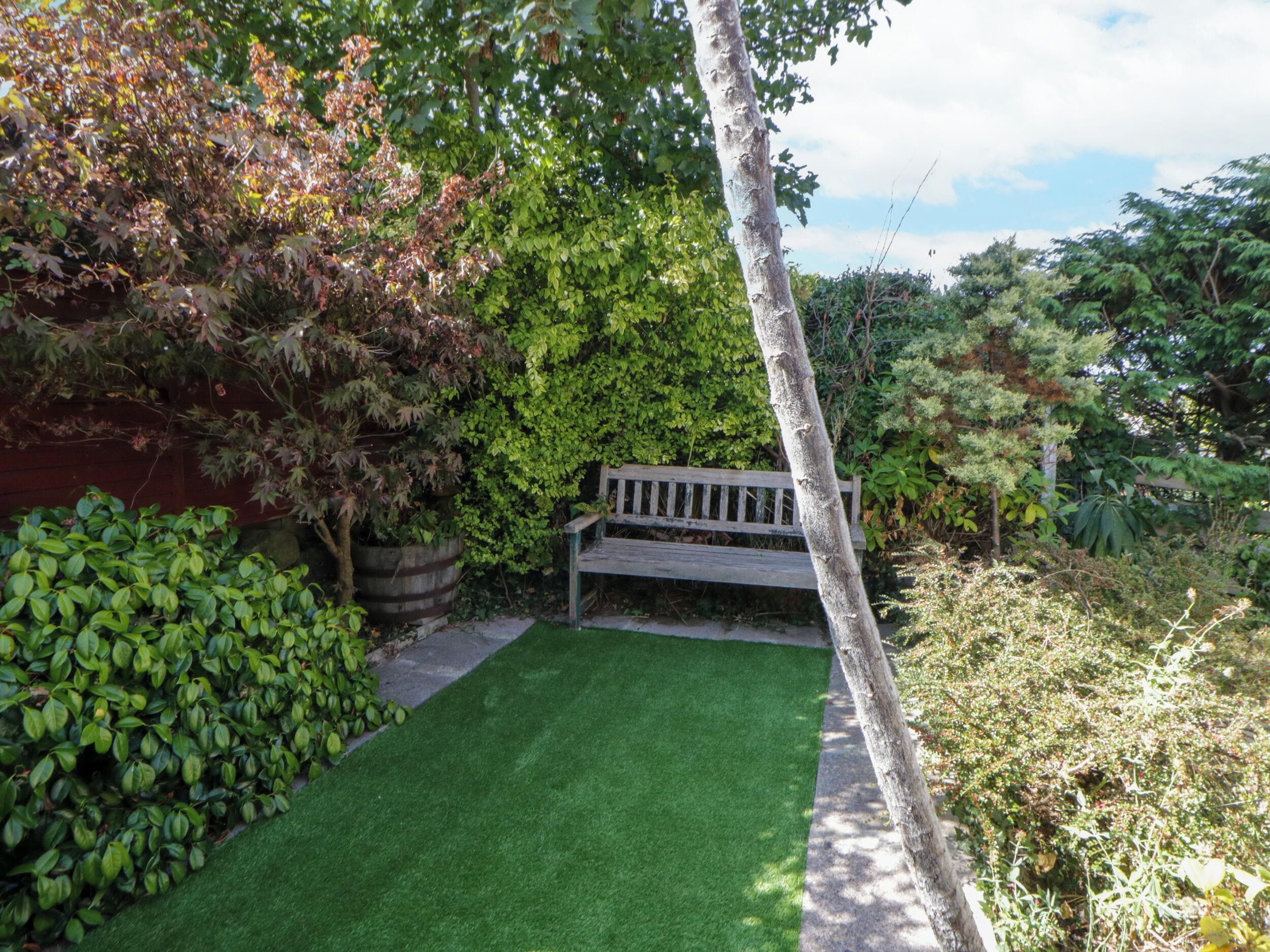 A garden with a bench, green grass, and various plants.