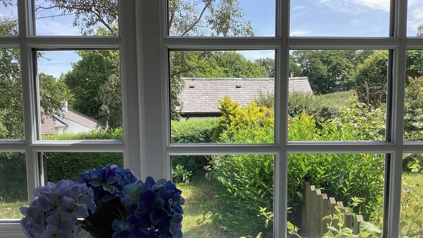 Janela com vista para um jardim e uma casa.