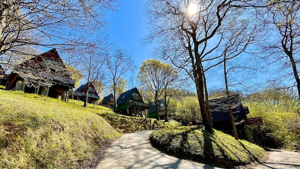 Un chemin mène à une rangée de maisons de style traditionnel, dotées de toits inclinés, et bordé d’arbres et d’espaces verts.