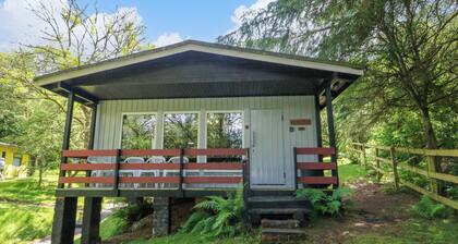 Lodge 6 - "alder"