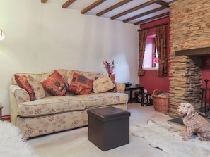 Una chimenea, un reproductor de DVD