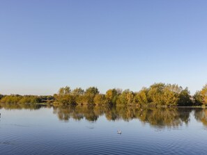 Miscelánea