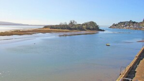 Un río ancho con una orilla arenosa y una pequeña isla con árboles.