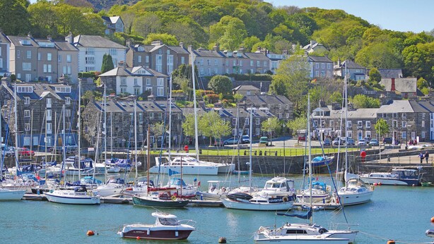 A marina with various boats docked, surrounded by residential buildings and a hill in the background.