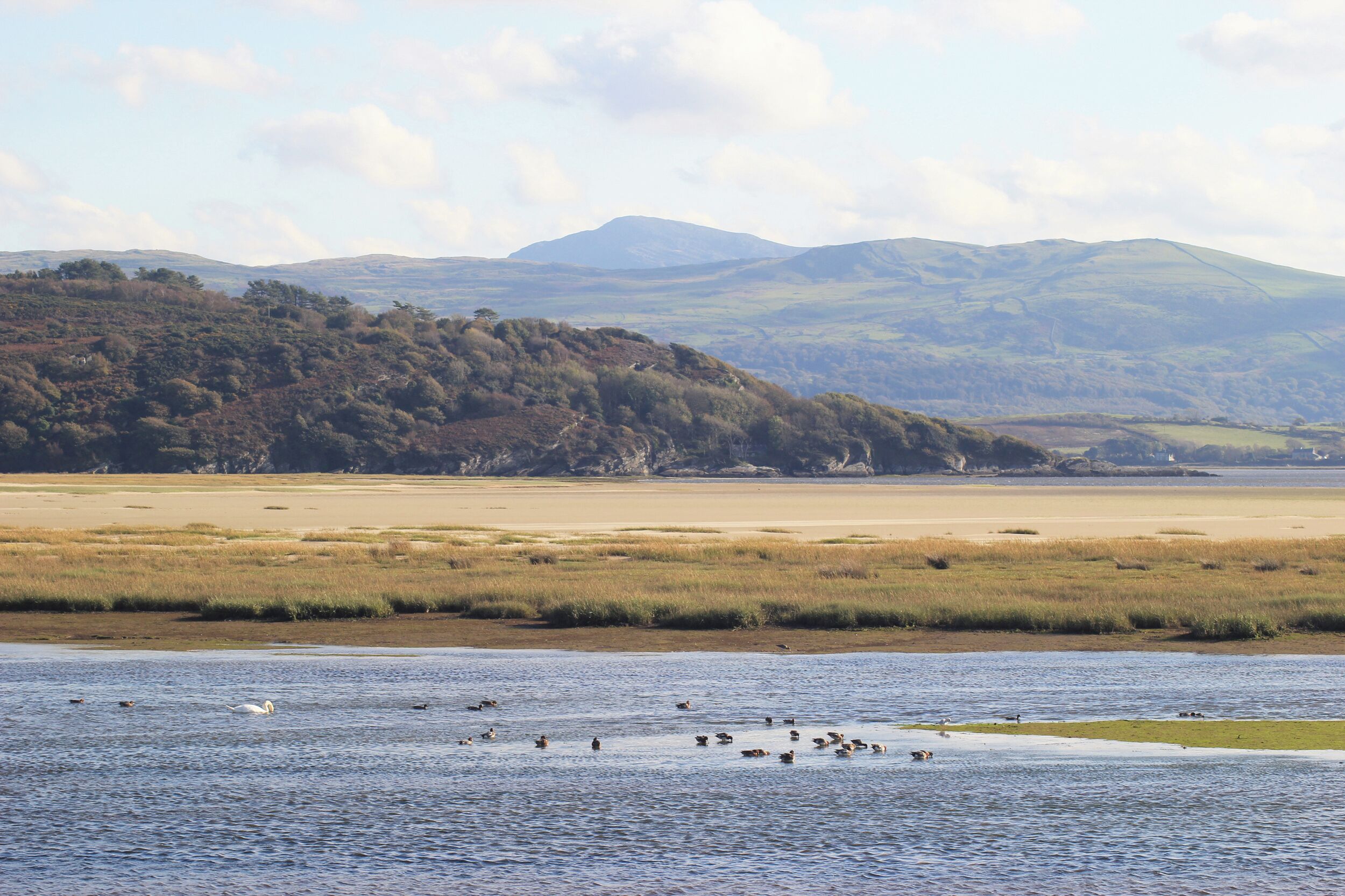 A coastal landscape with a body of water, a sandy beach, and a forested hill in the background.