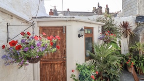 A narrow alleyway with a wooden door, a hanging flower basket, and various potted plants. - Springfield (Torpoint)