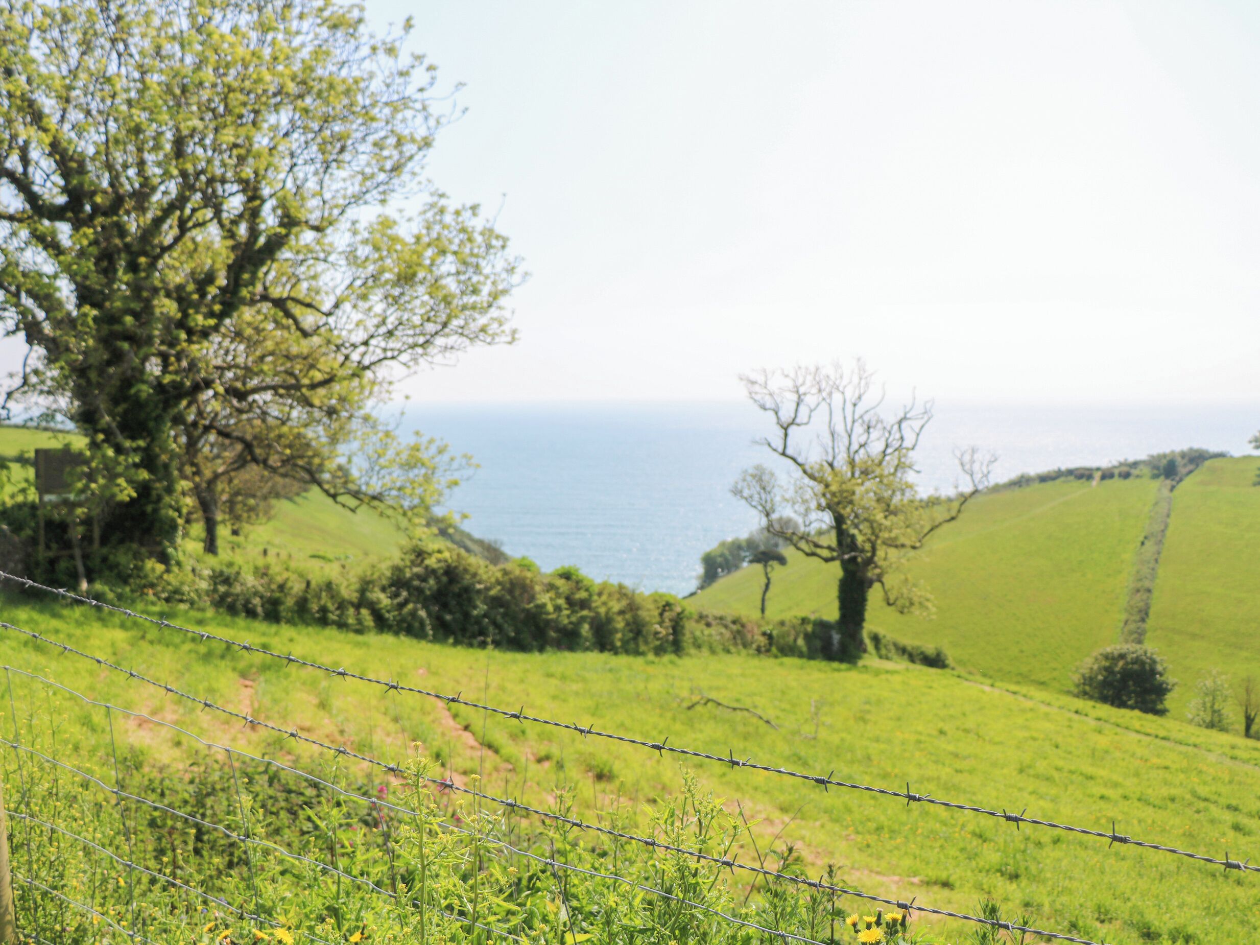 숙박 시설 구내