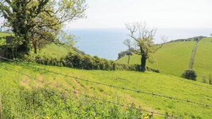 Un paysage rural avec un champ d’herbe, une clôture en fil de fer barbelé et un arbre.