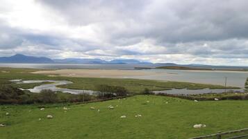 A grassy field with sheep and a body of water.