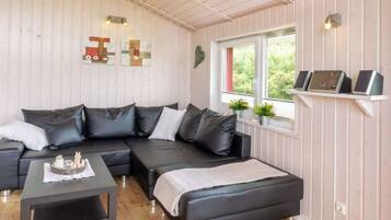 Älytelevisio, takka, DVD-soitin, kirjoja