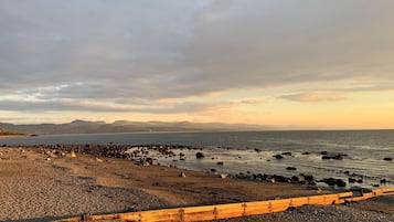 Playa en los alrededores