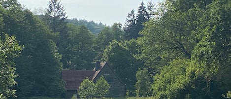 Ein ländliches Haus, umgeben von dichtem Wald.